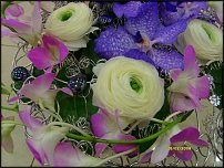 www.floristic.ru - .   