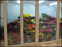 www.floristic.ru - .       - ?