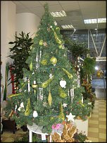 www.floristic.ru - Флористика. Экспонировать витрину и товар в ЦВЕТОЧНОМ магазине-это как?