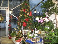 www.floristic.ru - Флористика. Экспонировать витрину и товар в ЦВЕТОЧНОМ магазине-это как?