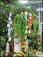 www.floristic.ru - Флористика. Экспонировать витрину и товар в ЦВЕТОЧНОМ магазине-это как?