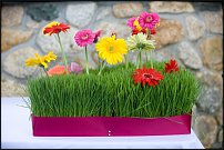 www.floristic.ru - . !!!!!