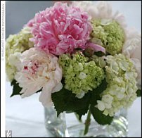 www.floristic.ru - . 