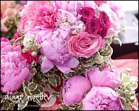 www.floristic.ru - . 