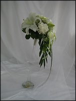 www.floristic.ru - . !!!!!