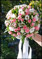 www.floristic.ru - .  .