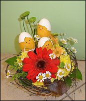 www.floristic.ru - .  