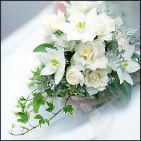 www.floristic.ru - .  .