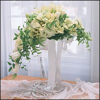 www.floristic.ru - .  .