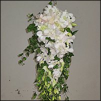 www.floristic.ru - .  .