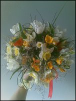 www.floristic.ru - .  .