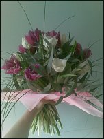 www.floristic.ru - .  .