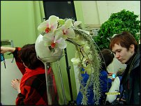 www.floristic.ru - .  w Moskwie Zygmunta Sieradzana