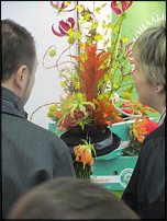 www.floristic.ru - .   " " +   