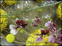 www.floristic.ru - .    06-07.04.11