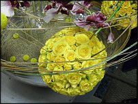 www.floristic.ru - Флористика. Вячеслав Рошка показы 06-07.04.11