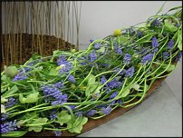 www.floristic.ru - .    06-07.04.11