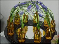 www.floristic.ru - .    06-07.04.11