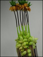 www.floristic.ru - .    06-07.04.11