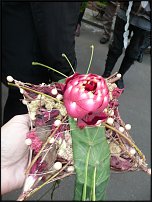 www.floristic.ru - Флористика. жизнь в "НИКОЛЬ"