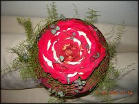 www.floristic.ru - .  .