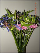www.floristic.ru - Флористика. Работы форумчан
