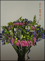 www.floristic.ru - Флористика. Работы форумчан