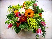 www.floristic.ru - .    !!!