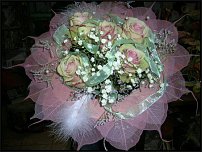 www.floristic.ru - .  !!