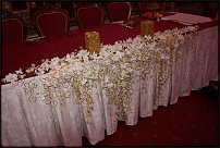 www.floristic.ru - .  .