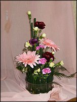 www.floristic.ru - .    !!!