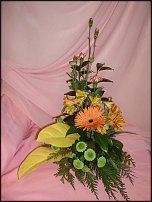 www.floristic.ru - .    !!!