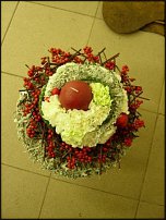 www.floristic.ru - .    