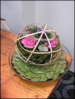 www.floristic.ru - .    