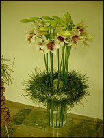 www.floristic.ru - .    