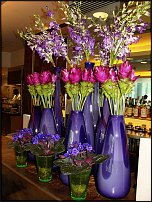 www.floristic.ru - .   .