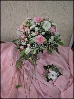 www.floristic.ru - .  .