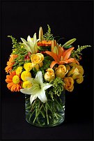 www.floristic.ru - .  