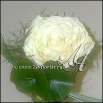 www.floristic.ru - . 