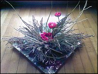 www.floristic.ru - .   .