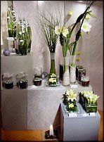 www.floristic.ru - .       - ?