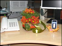 www.floristic.ru - . -