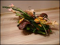 www.floristic.ru - .  