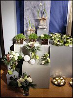 www.floristic.ru - .       - ?