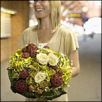 www.floristic.ru - .   , ,   