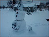 www.floristic.ru - .      