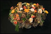 www.floristic.ru - .  ,  ."   " "7" 19+21.11.2008
