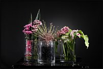 www.floristic.ru - . "Just Chrysanthemum"  )