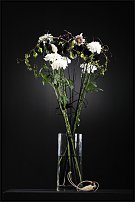 www.floristic.ru - . "Just Chrysanthemum"  )