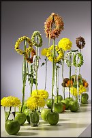 www.floristic.ru - . "Just Chrysanthemum"  )